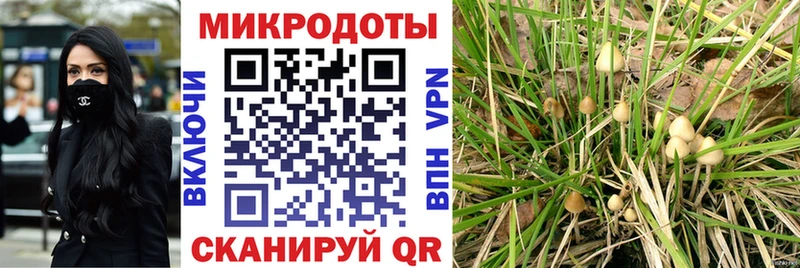 Галлюциногенные грибы Magic Shrooms Бугуруслан