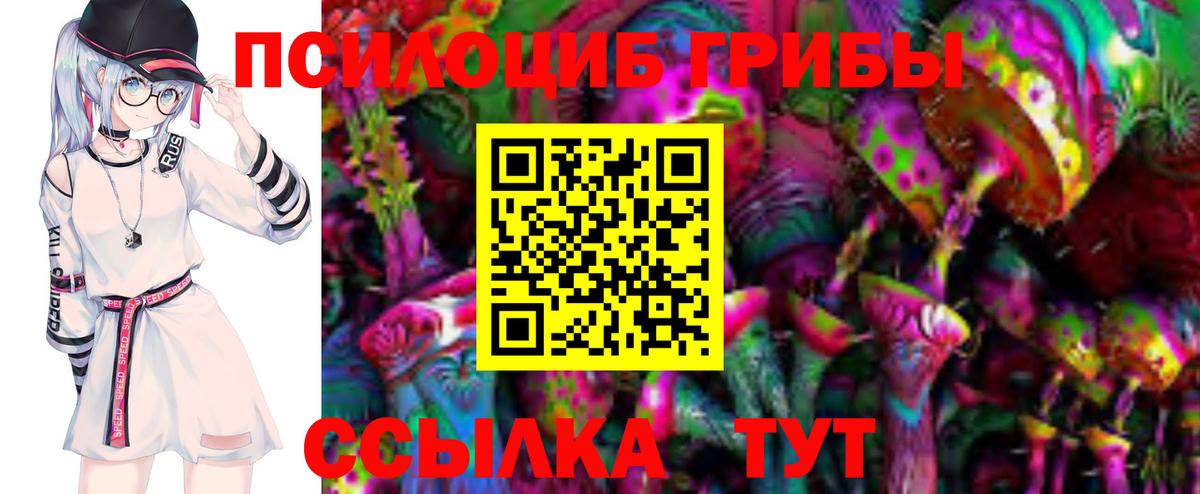 Галлюциногенные грибы мицелий Бугуруслан