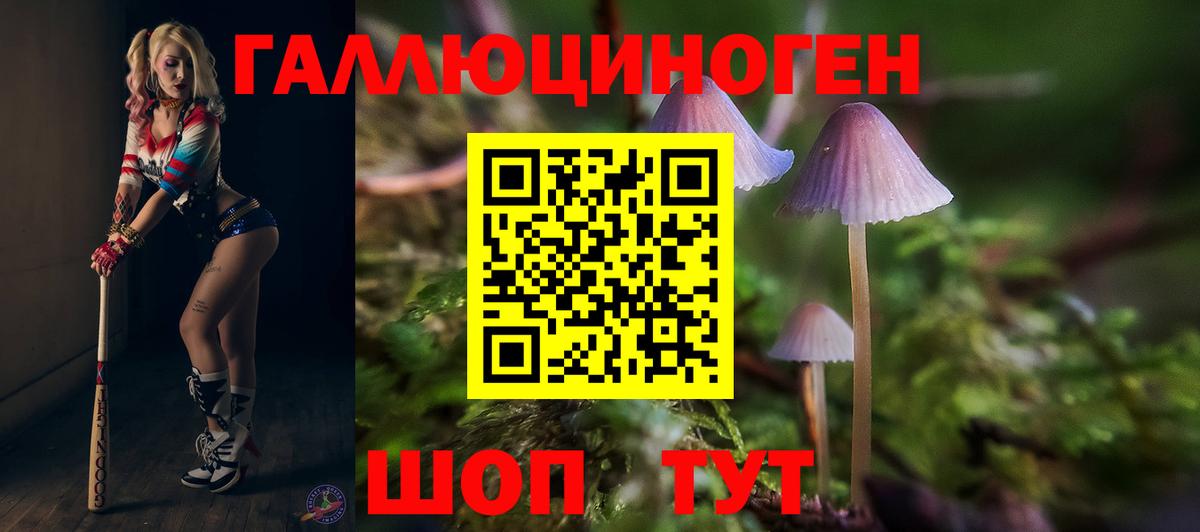 Галлюциногенные грибы Cubensis  Вход с VPN  Бугуруслан 